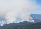 Firefighters Struggle to Contain Burning 416 and Burro Fires