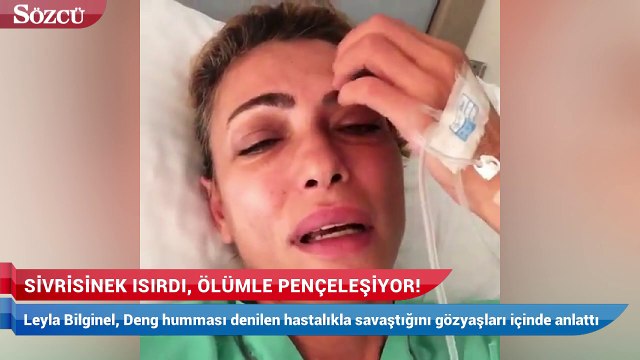 Sivrisinek ısırdı, ölümle pençeleşiyor