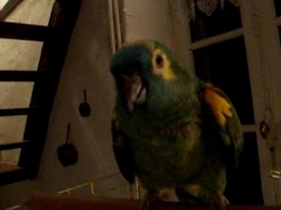 Coca
