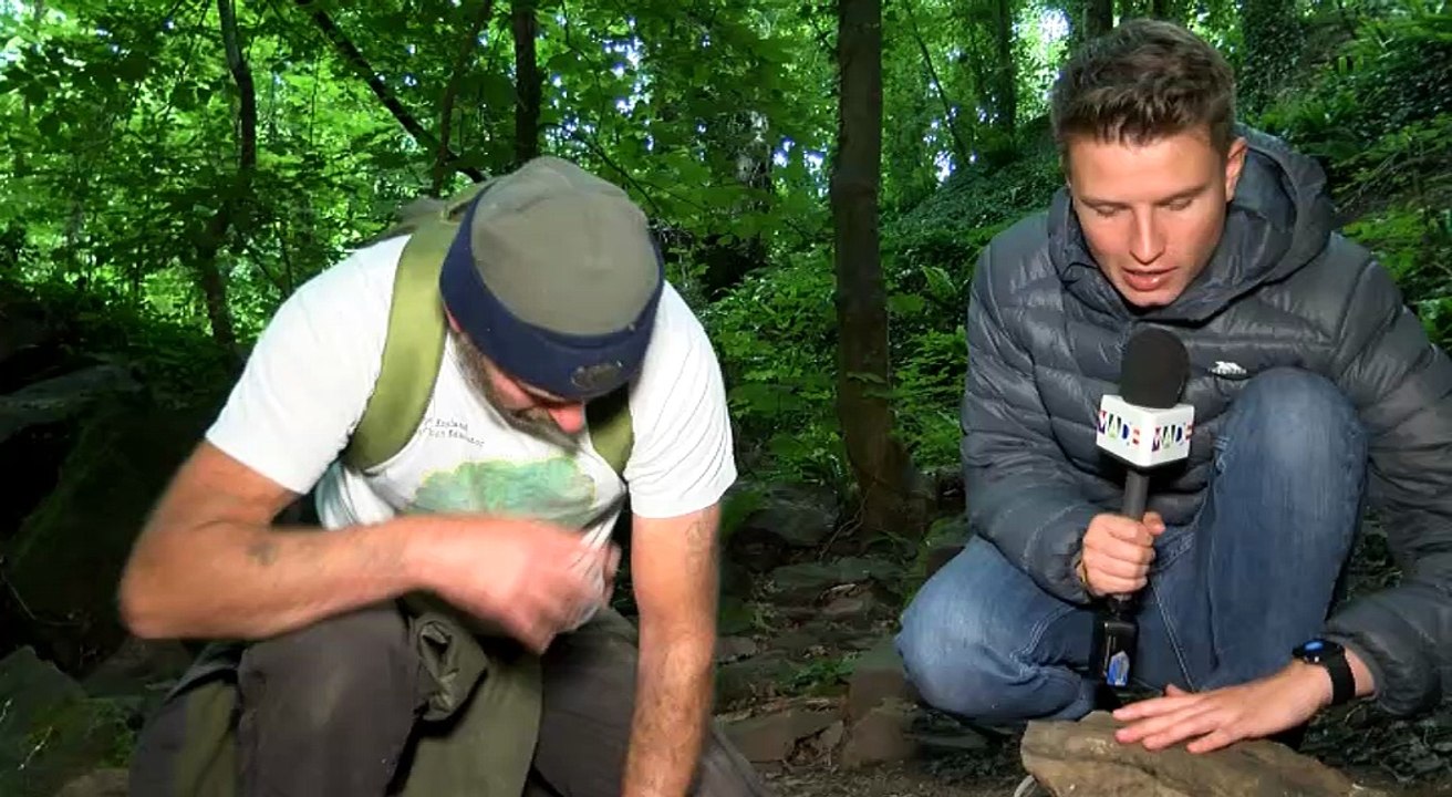 Bristol's Prehistoric Treasures