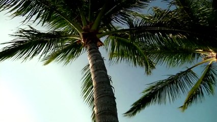 Holiday Romances Big for Brits!