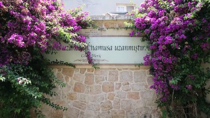 Cemil Meriç'in doğduğu ev her yaştan ziyaretçiyi ağırlıyor - HATAY