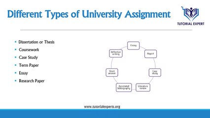 University Assignment help