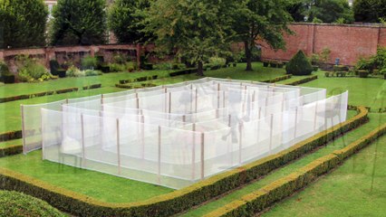 Portrait M.Goussé Version courte