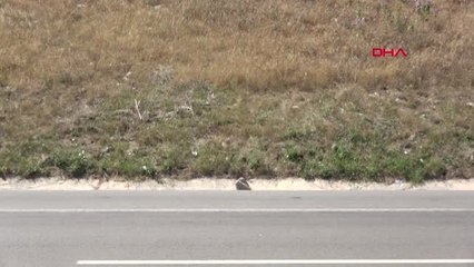 Bursa'da Yolcu Otobüse İlginç Saldırı-gündüz Görüntüleri