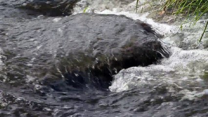 Stream Video - Yale Mendelson