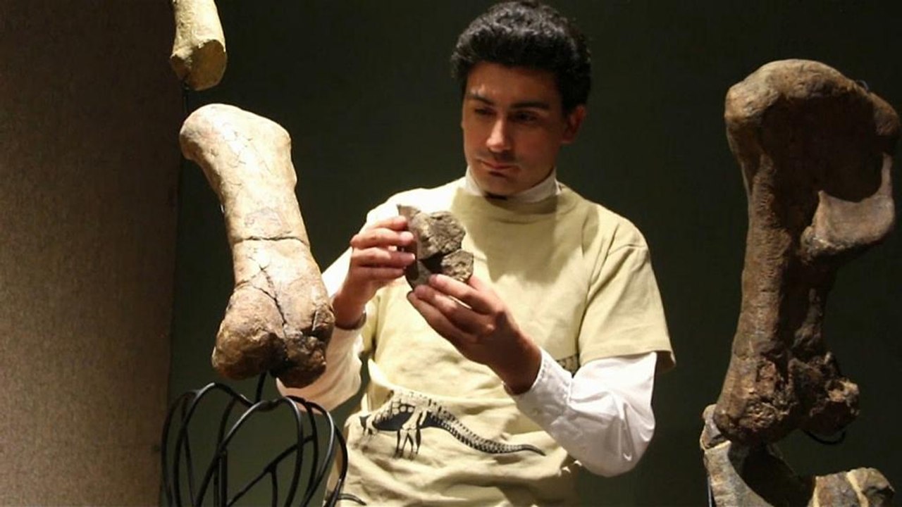 Neue Dinoart bestätigt