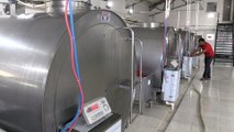 Diş hekimi devlet desteğiyle süt işleme tesisi kurdu - ELAZIĞ