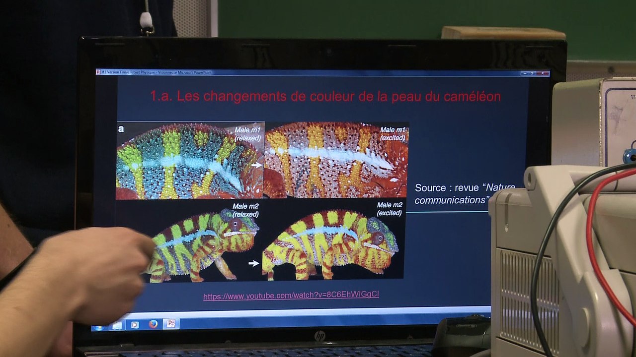 J-Cameleon