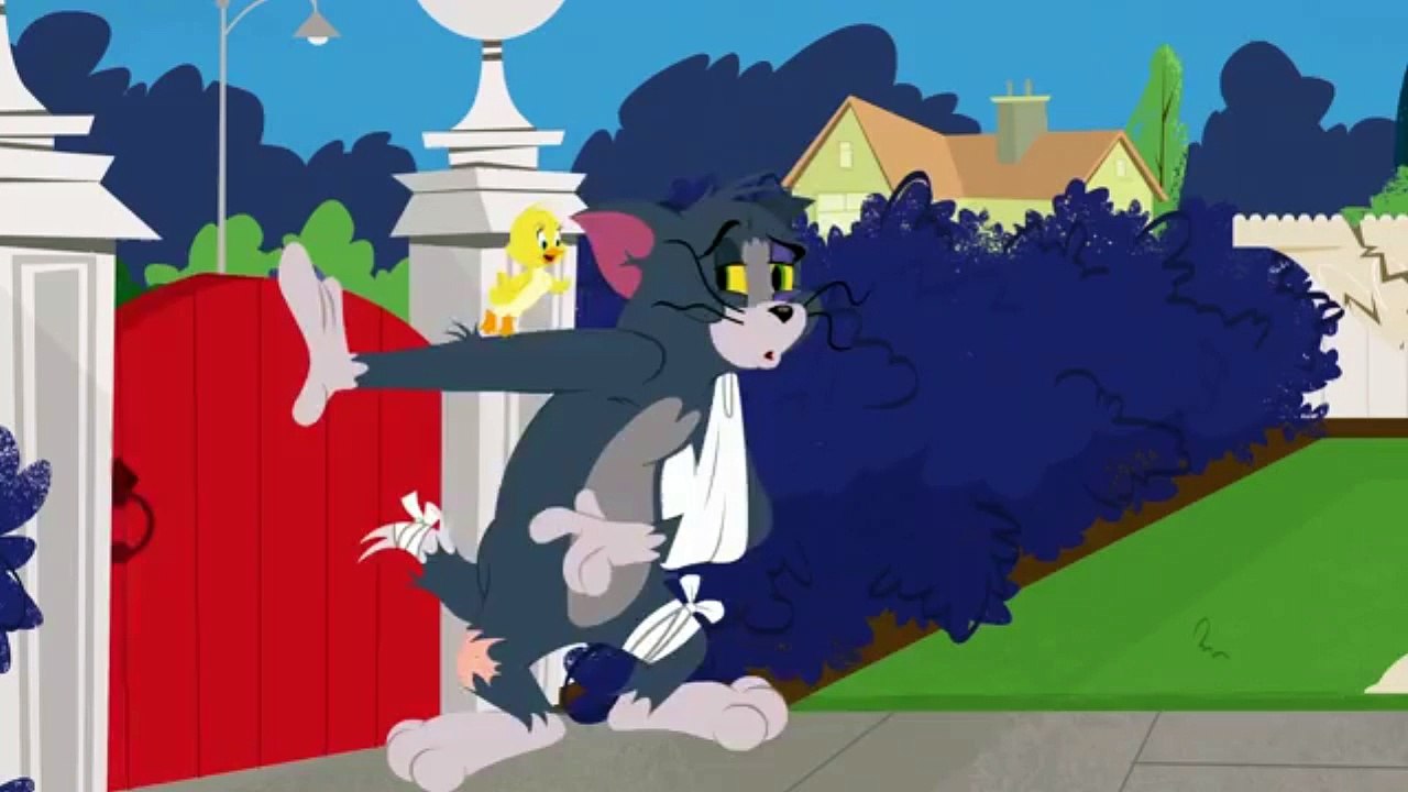 Tom and Jerry 4