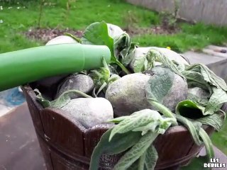 Tu arroses la plante et elle t'offre une bière... Sympa