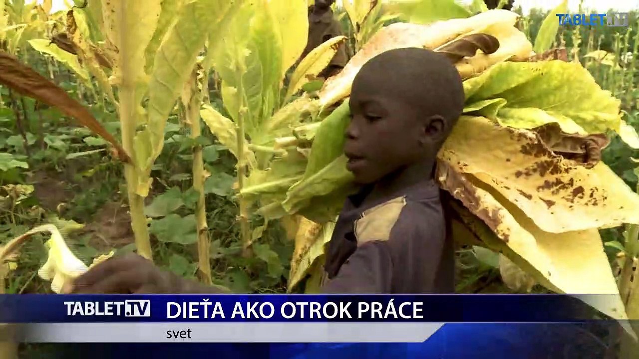 DIETA AKO OTROK PRACE