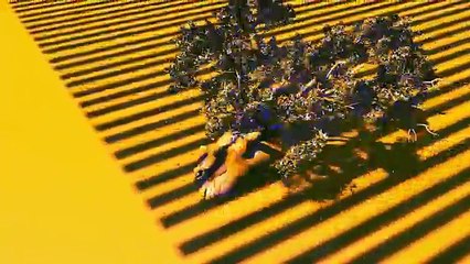 S.Pri Noir (Ft. Viviane Chidid) - Seck (Audio)