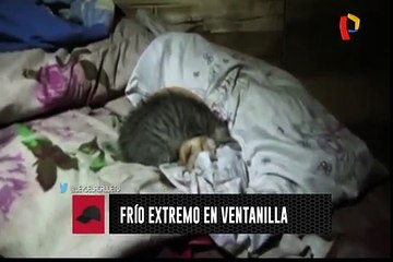 Frío extremo, neblina y sueños desde las alturas de Ventanilla