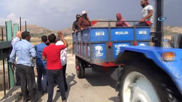 Taşan nehir tarım arazilerini sular altında bıraktı