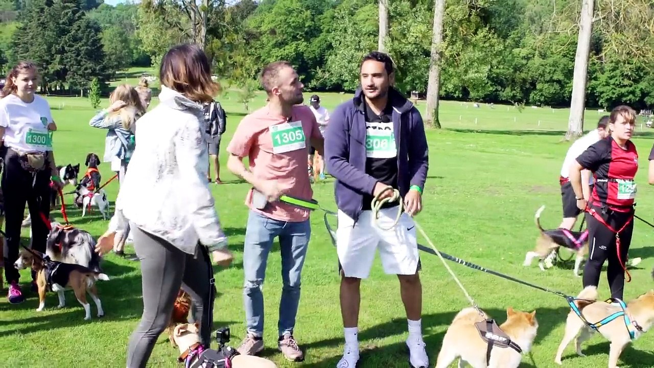 JE TESTE LE PHYSIQUE DE MON CHIEN