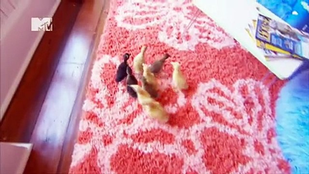 Teen Cribs - S01-E05 - Josh and Lauren's Crib