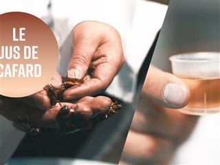 Jus de cafard : la boisson bonne pour la santé ?