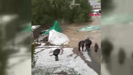 Muş Muş'ta Selin Ardından Hasar Tespit Çalışmaları Başladı