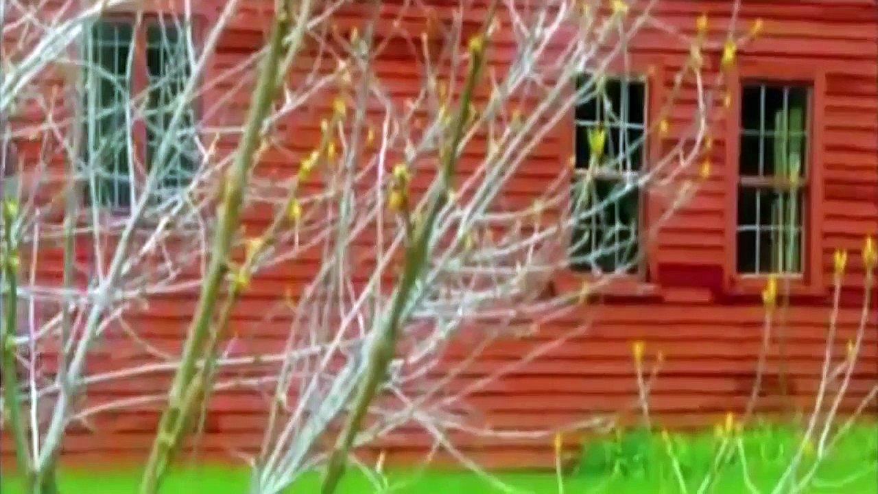 Secrets of the Dead - Witches Curse