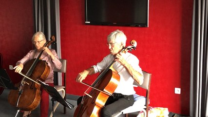 Concert de violoncelle