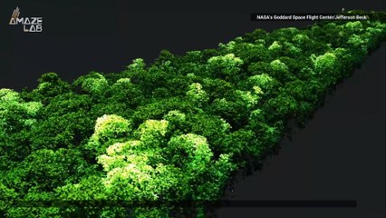 3D Flyovers of the Amazon Show the Dramatic Effects of El Niño