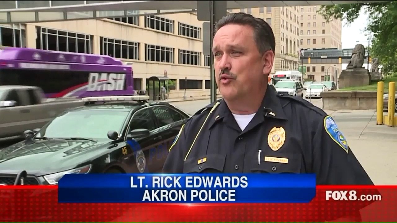 Black Bear Fatally Struck by Car on Ohio Freeway