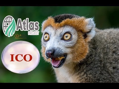 Notícias Análise 13/06: Apple Suspende Mineração - Atlas Conta Suspensa BB - ICO impulsiona Queda?