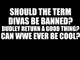 Should WWE Ban the Term "Divas"? Should Team 3D have Stayed in TNA?