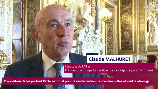 [Questions sur] Proposition de loi portant Pacte national de revitalisation des centres-villes et centres-bourgs
