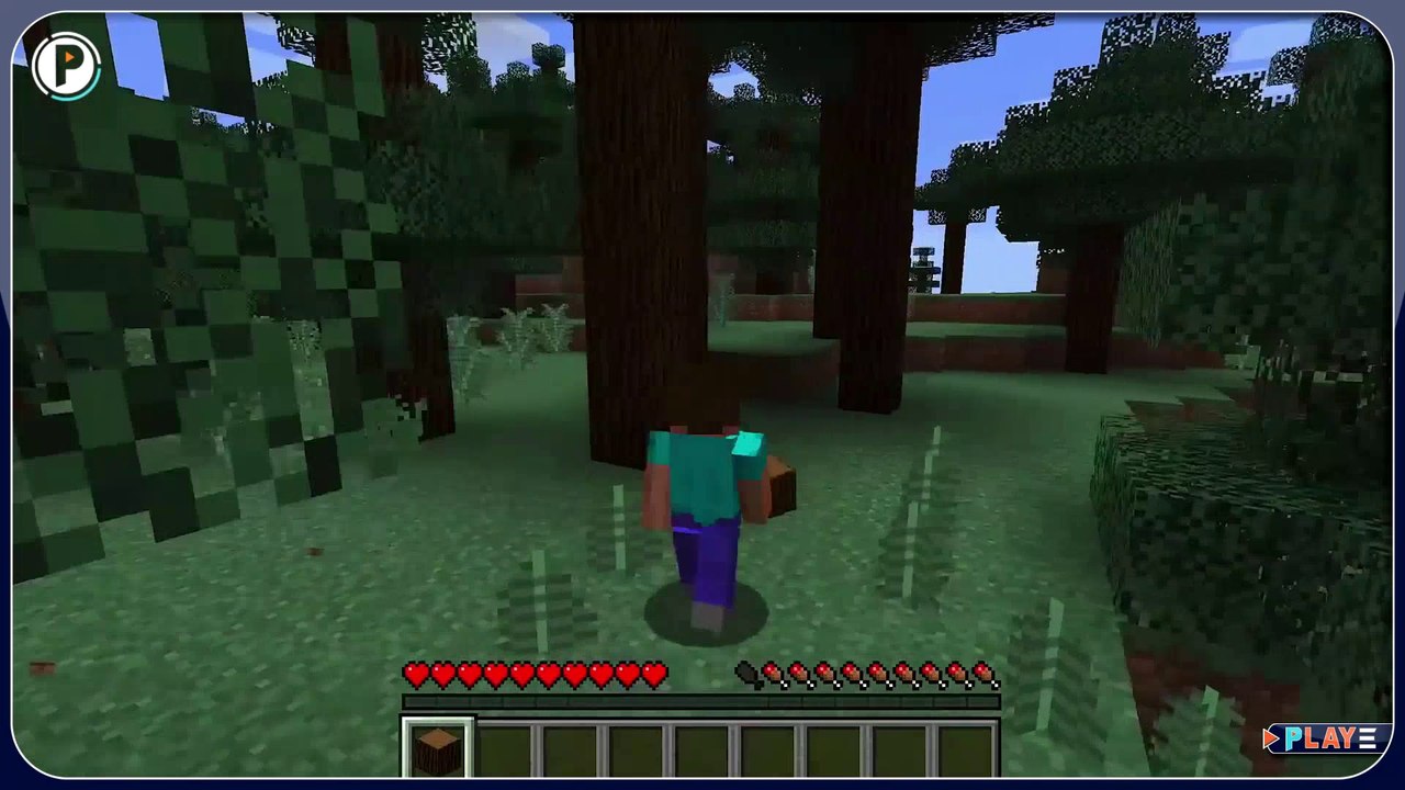 MINECRAFT 01