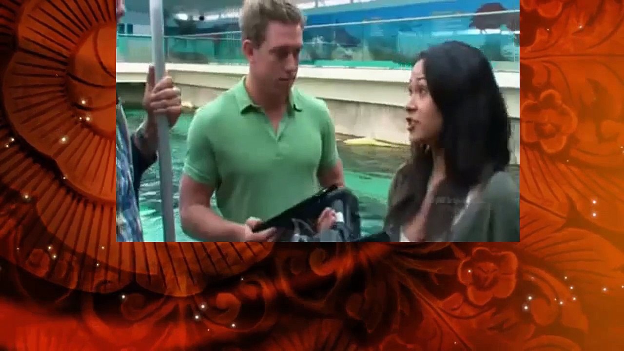 Fact or Faked Paranormal Files S01E10 Mystery Mermaid & Ghostly Guardian