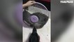 Cat Cooling Off Inside Fan