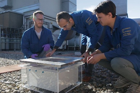 Este dispositivo es capaz de extraer agua del aire del desierto