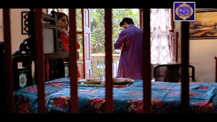 Qurban Episode 23 - on ARY Zindagi in High Quality 13th June  2018