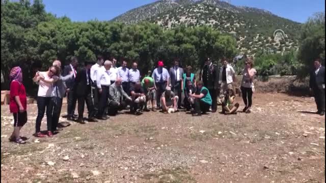 Tedavileri Tamamlanan Yaban Hayvanları Doğaya Bırakıldı