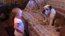 Pai encontra bebê discutindo com cachorro e suas 'palavras' deixam Internet maravilhada