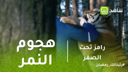 رامز تحت الصفر | نمر رامز يهاجم #احمد _ادم