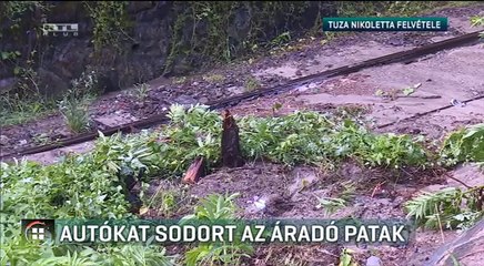 Viharkárok [2018.06.11 - RTL Híradó]