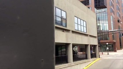 Raccoon conquers skyscraper; Americans breathe easier