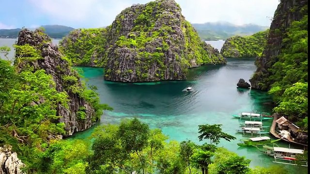 LES 10 OBJETS LES PLUS CHERS TROUVÉS DANS UNE BENNE À ORDURES _ Lama Faché