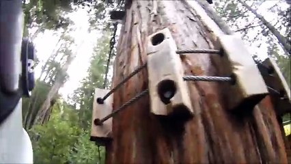 Ziplining Through the Red Woods