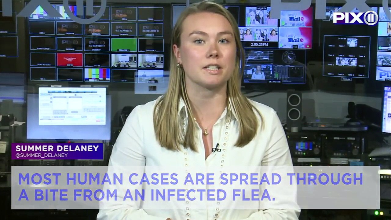 Child in Idaho Diagnosed With Plague