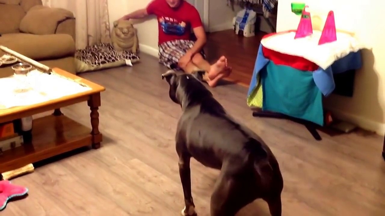 Tu ne me volera pas mon papa!