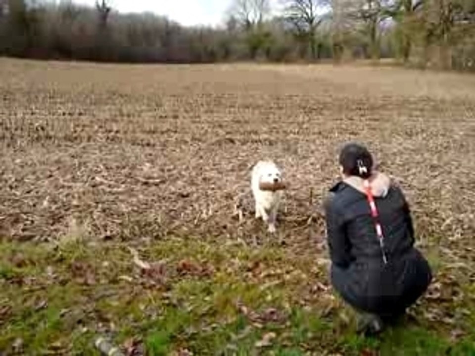 P1000959