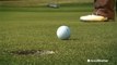 How weather affects the game of golf