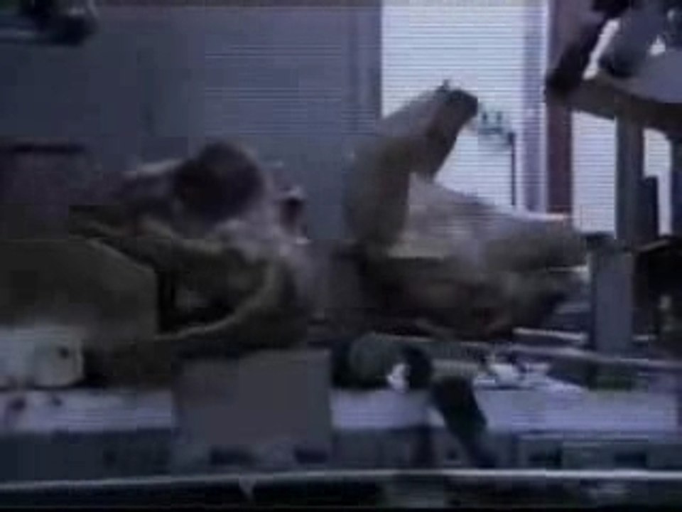 IAM clip La fin de leur monde