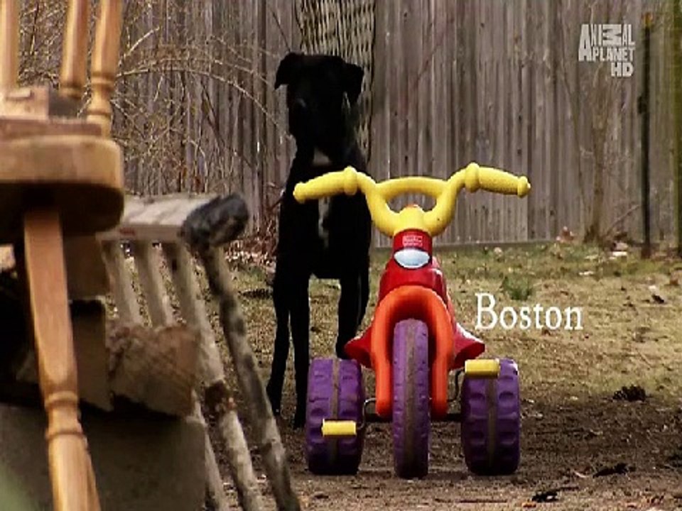 The Haunted S01E12 - Demon Attack