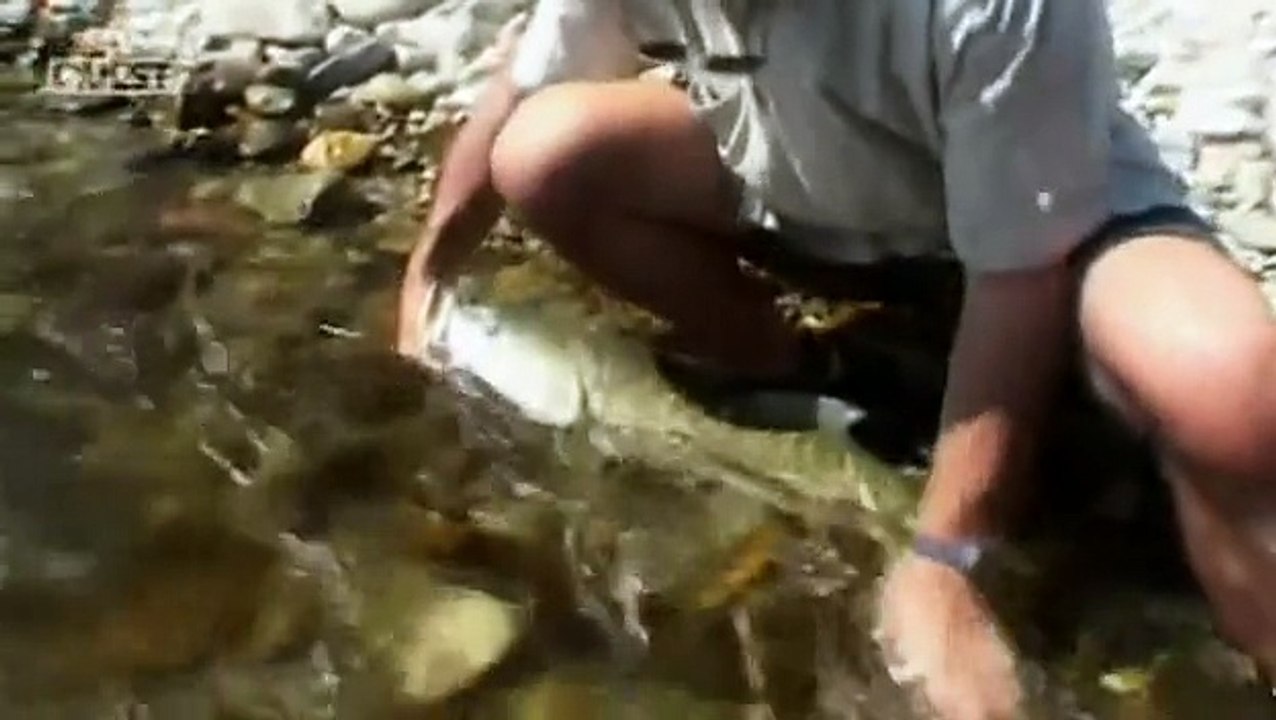 Jeremy Wade: Jungle Hooks S01E05 - India The Last Pool - River Monsters
