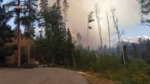 Buffalo Fire in Colorado county scorches 100 acres of land
